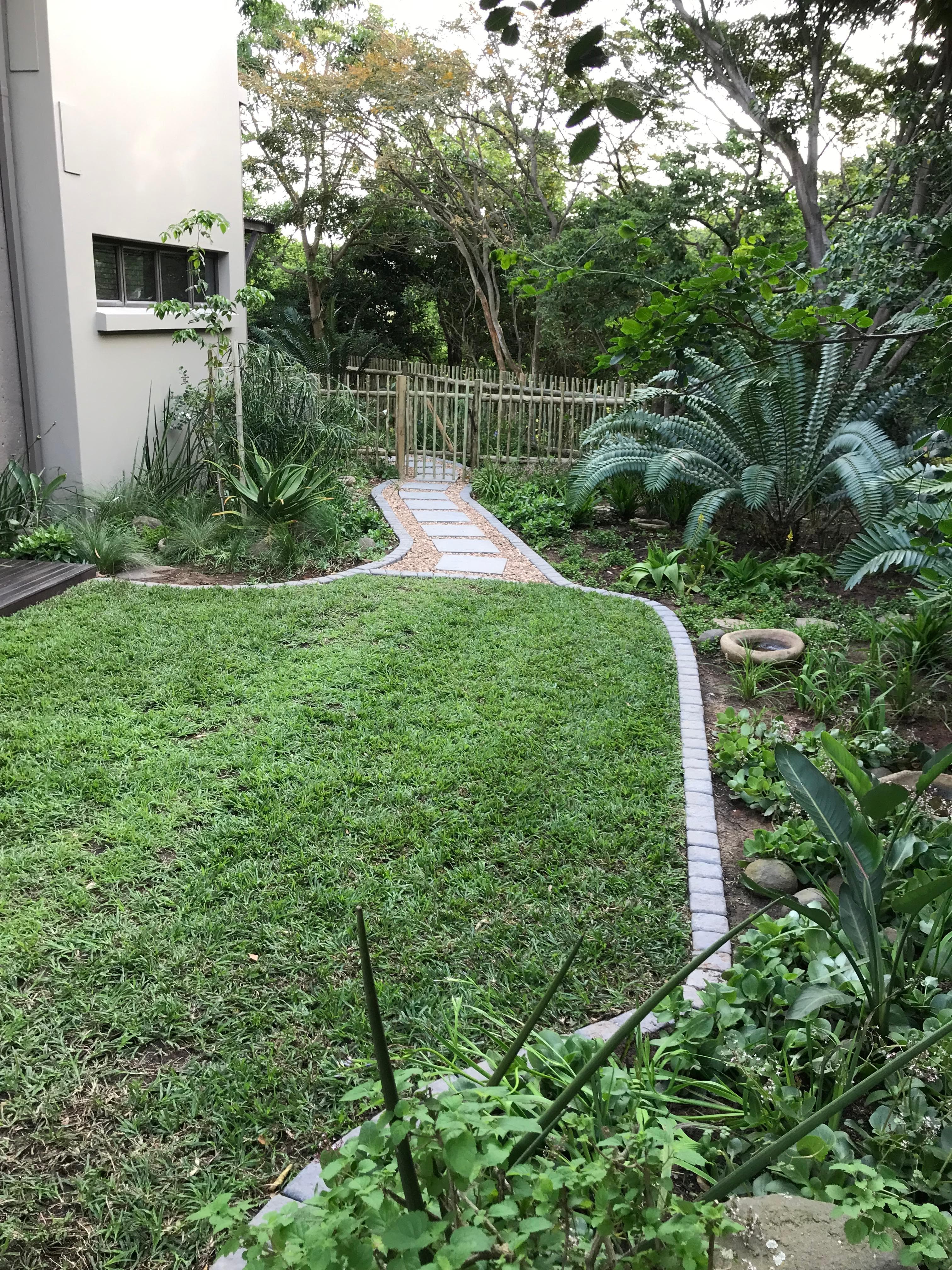 Brick-edged garden path through tropical garden with cycads