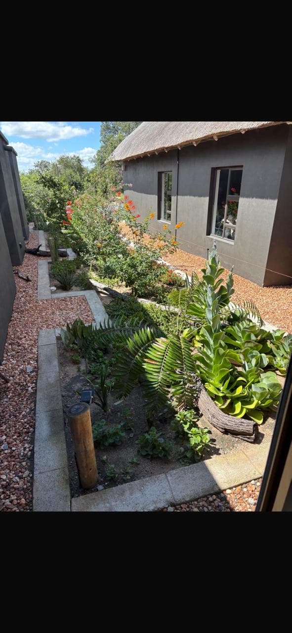 Water-wise garden with succulents, cycads and gravel mulch beside thatched-roof house