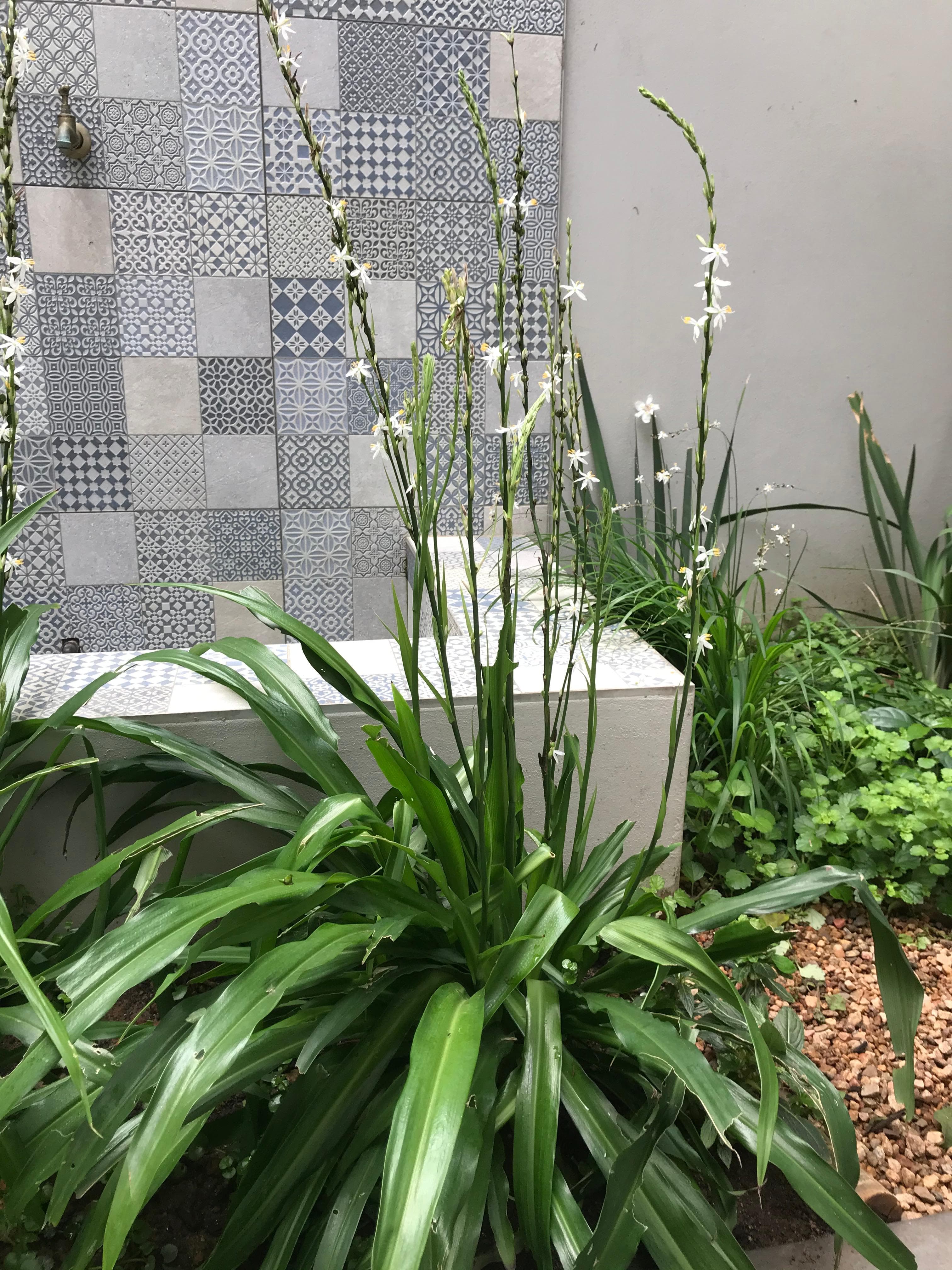 Terracing — Professional retaining walls and multi-level gardens for sloped properties